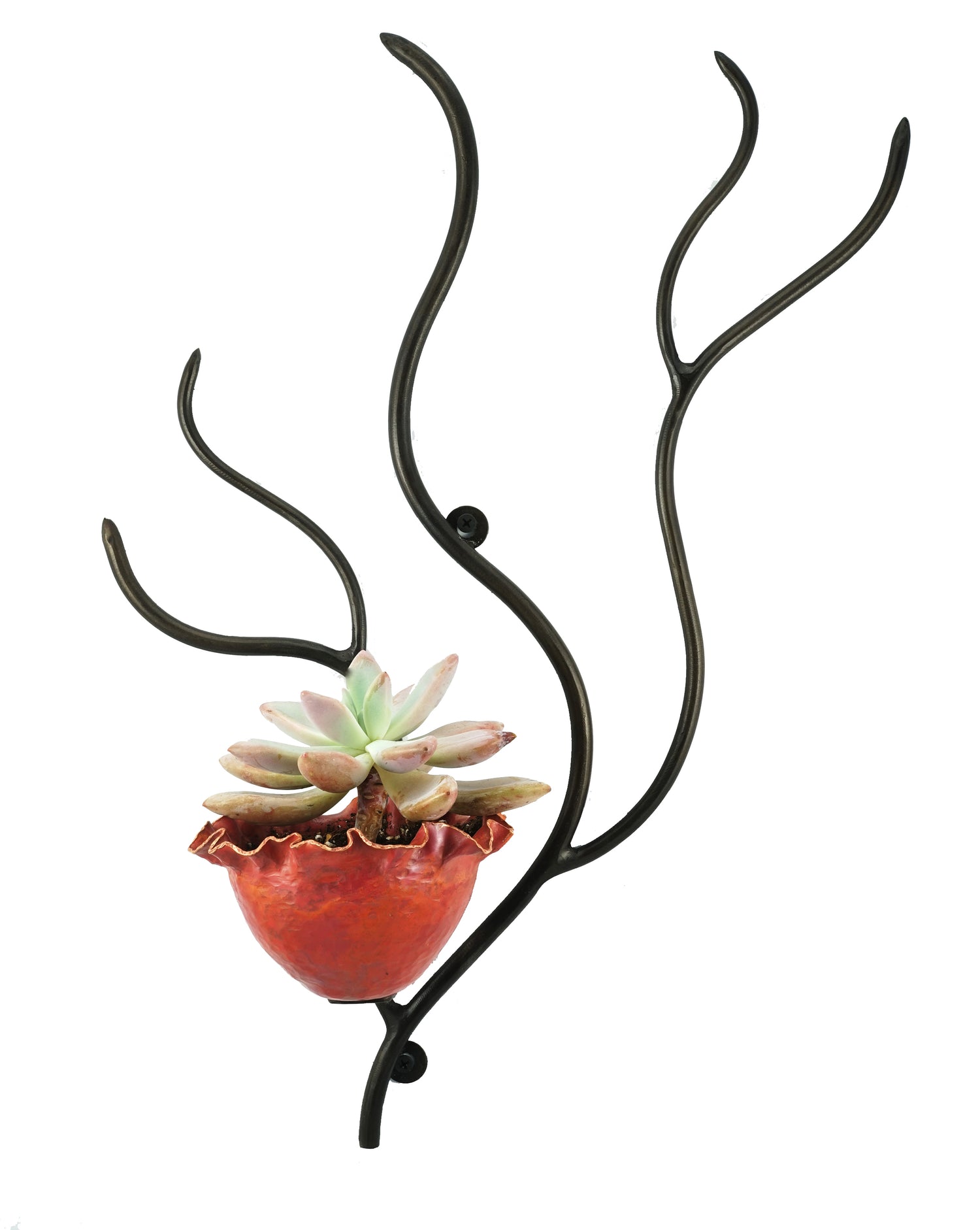Planters