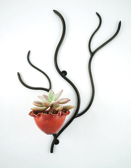 The Maple- Brown with Red Heat