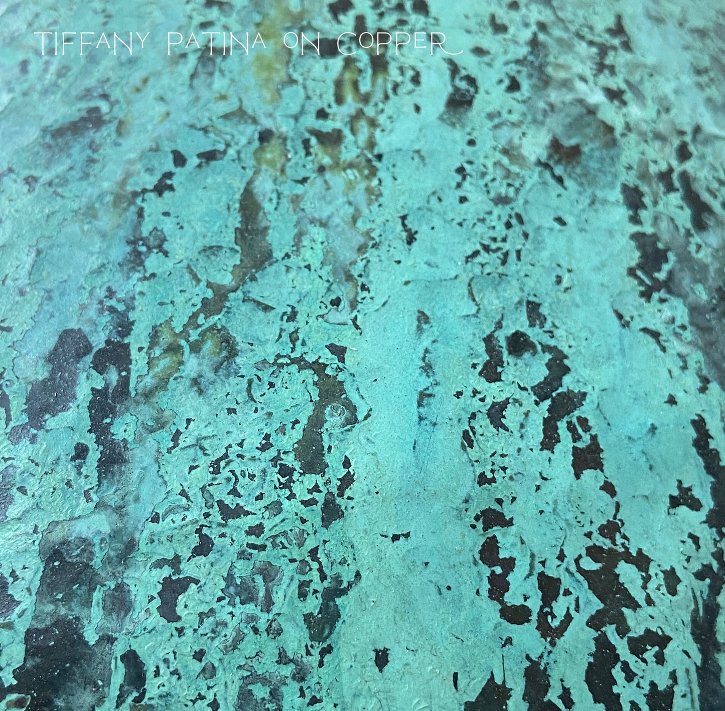 Large Patinated Disc Earrings